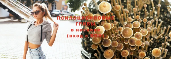 круглые Пересвет