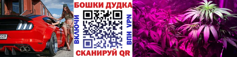 MEGA вход  Миллерово  Марихуана OG Kush 